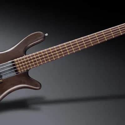 Warwick Pro Series Streamer Stage I 5 String Nirvana Black Transparent Satin image 2