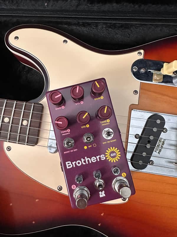 Chase Bliss Audio Brothers AM