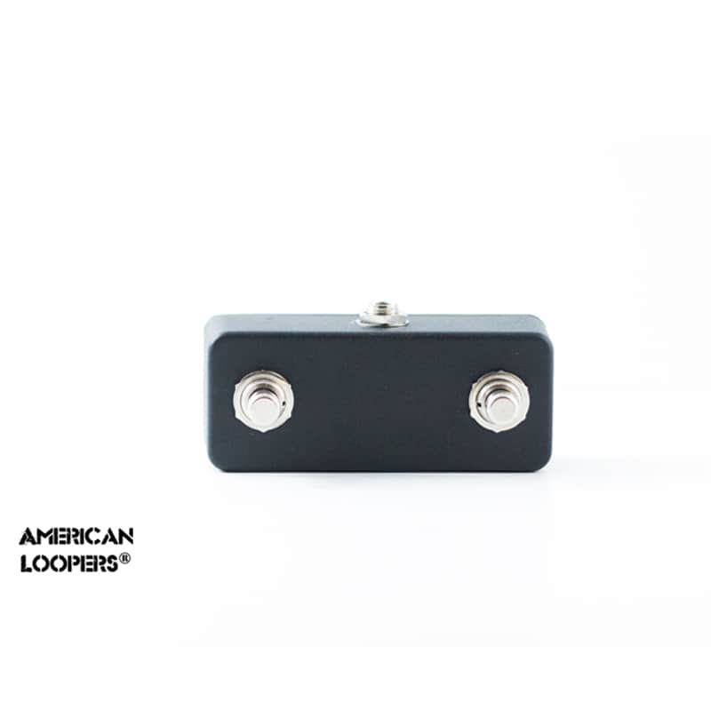 Boss DD500 Aux Switch - Two Button Guitar Aux Switch image 1