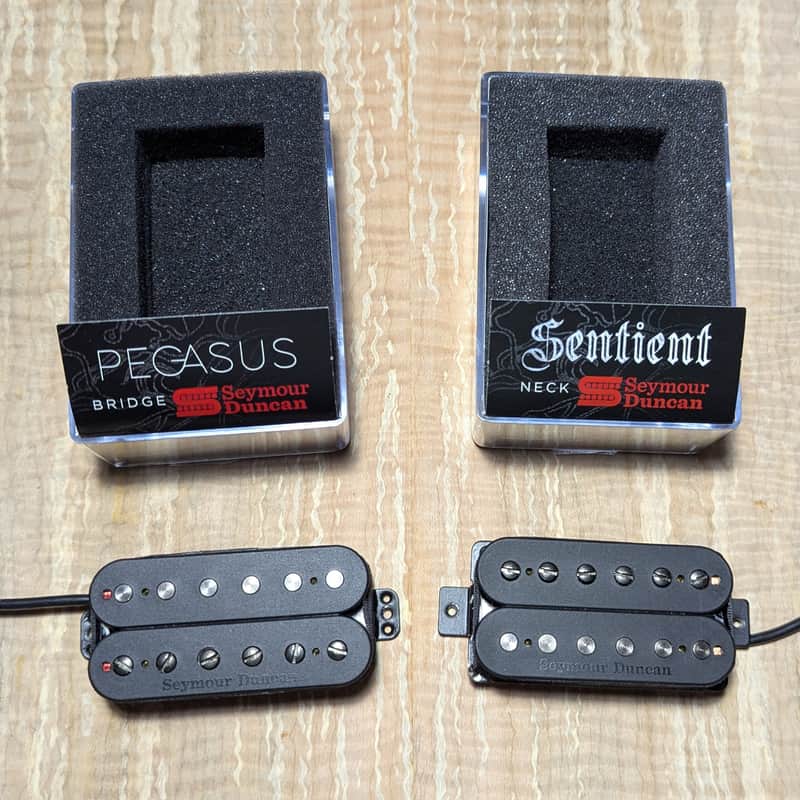 Seymour Duncan Pegasus Trembucker & Sentient Humbucker 6 String Pair
