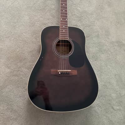 Carlo Robelli Acoustic Guitar CW4102EQB image 1