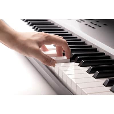 Korg Nautilus 88 AT Music Workstation with Aftertouch (Limited-Edition Gray) image 6