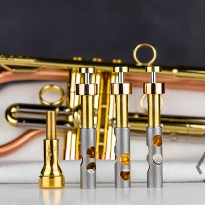 Taylor 46 Balladeer Bb trumpet / flugelhorn hybrid 2020, matte lacquer image 13