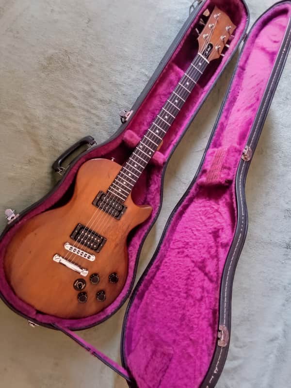 Gibson Les Paul The Paul 1978 With Original Gibson Hard Case image 1