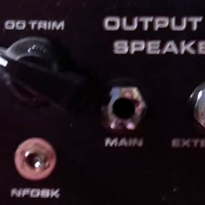 Marsh Overlord Supreme Dumble ODS Style 50w Head image 6