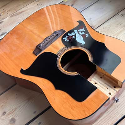 Kay K 550 70s 6 String Acoustic Guitar Body Made By Eko in Italy image 3