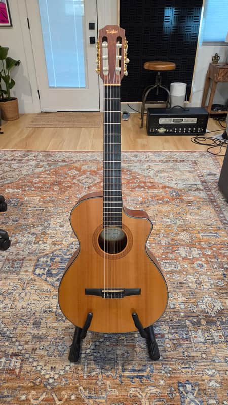 Taylor NS32ce