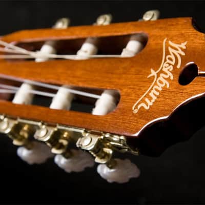 Washburn C5CE-A Classical Series Cutaway Nylon-String Classical Acoustic-Electric Guitar image 5