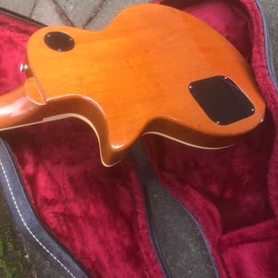 Guild Bluesbird image 15
