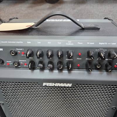 Fishman Loudbox 100 Acoustic Guitar Amp