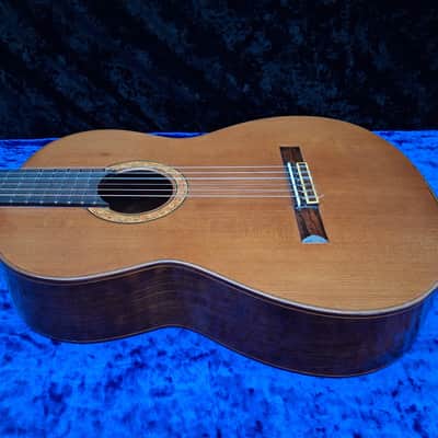 Michael Gee Concert Level Classical Guitar Bild 8