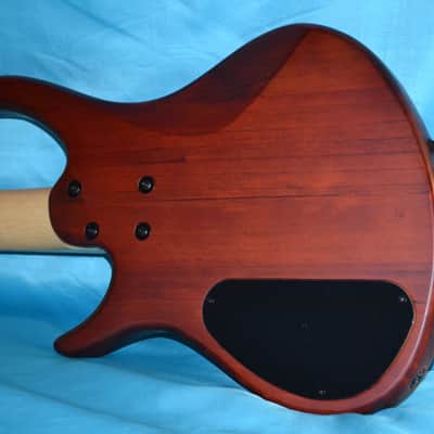 Epiphone Tobias Toby Deluxe IV Bass  Worn Brown image 8