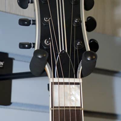 Wylde Audio Odin Silver Bullseye Finish - W/Setup & Case image 6