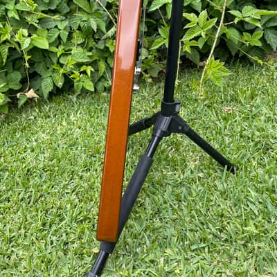 Gibson Limited Edition Flying V 2001 image 5