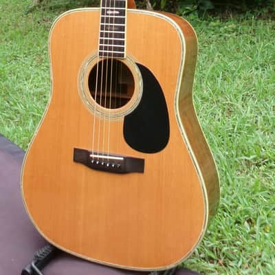 1975 Yairi YW-600 Dreadnought Guitar New Jacaranda Natural+Vintage Hard Case image 4