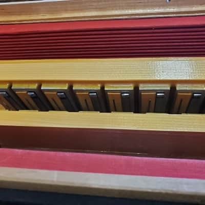 Titano Tiger Accordion Blue WOW!! image 15