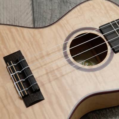Kala KA-ASFM-C-C All Solid 'Flamed Maple' Electro Cutaway Concert Ukulele, Satin image 10