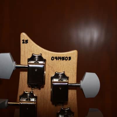 PRS Silver Sky John Mayer 2025 - Frost EXTRAS image 6