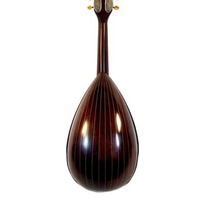 Mandoline de Concert Luigi Tamagno de 1904 image 10