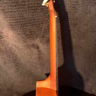 Cordoba 20TM-CE Tenor Cutaway Acoustic-Electric Ukulele with Hardshell Case image 11