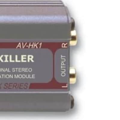 RDLAV-HK1Hum Killer; Transformer