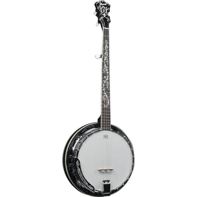 Ibanez B300 5-String Banjo, 22 Frets, Mahogany Neck, Rosewood Fretboard, Abalone Resonator Binding image 10