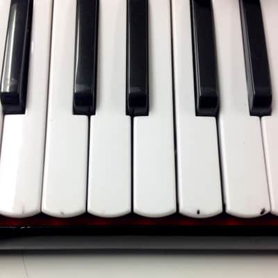 Goldencup Accordion - black image 5