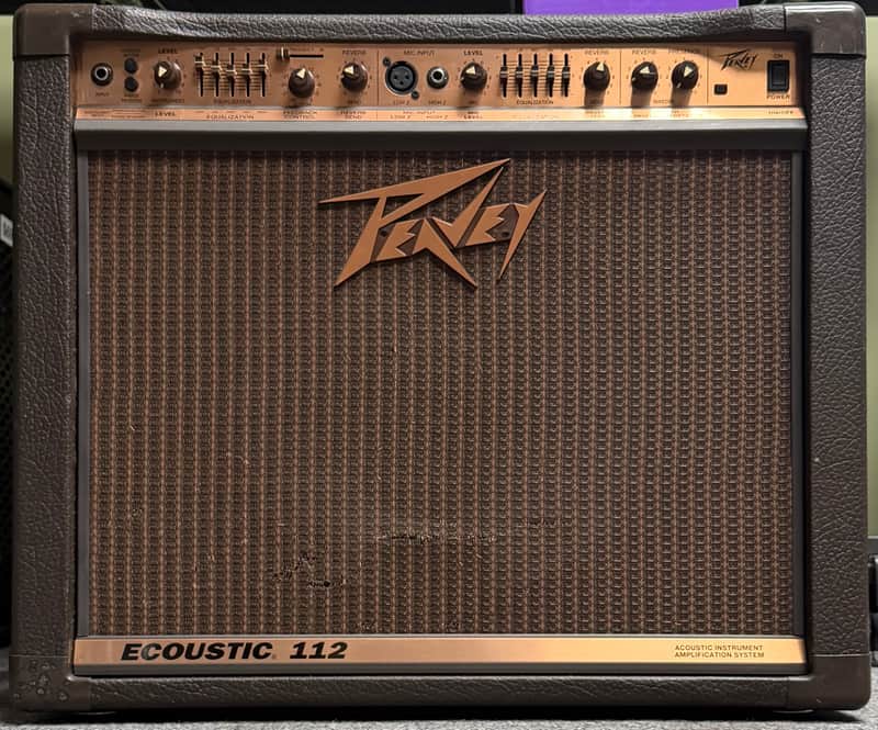 Peavey Ecoustic 112 100-Watt 1x12 Acoustic Instrument