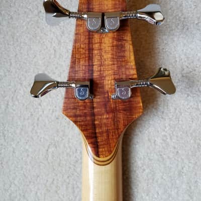 Alembic Spoiler 1984 image 4