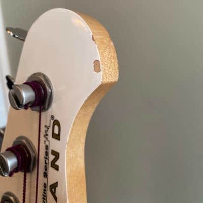 Lakland "Dudepit" Special Order P Bass w/ Darkstar pickup image 5