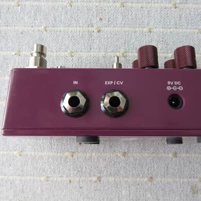 Chase Bliss Audio Brothers AM 2025 image 6