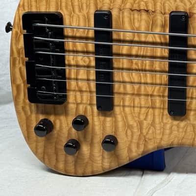 Roscoe Century Standard Plus 6L vi 6-string Bass image 4