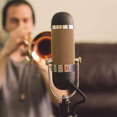AEA R84 Ribbon Microphone (Spring Offer!) image 5
