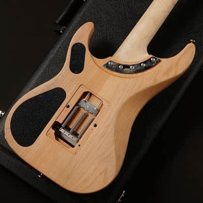 Washburn N4-NUNO VINTAGE image 9