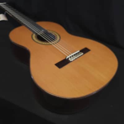 New Alhambra 4P Solid Top Classical Nylon String Guitar Made in Spain Logo'd Gig Bag image 10