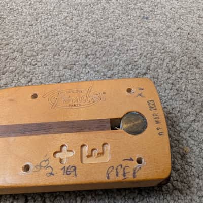 Fender Player Plus Stratocaster Neck 2023 - Pau Ferro image 8