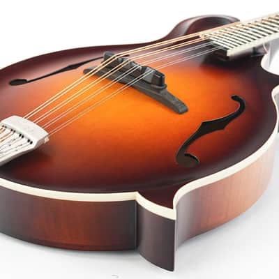 Bulas F-Style Standard Mandolin image 11