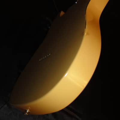 Fender Road Worn Telecaster 2009 Butterscotch image 14