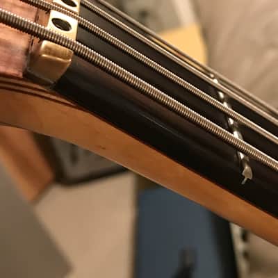 Alembic Spoiler 1983 Koa image 8