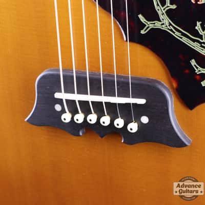Epiphone 2023 Masterbilt Excellente FT120 image 13
