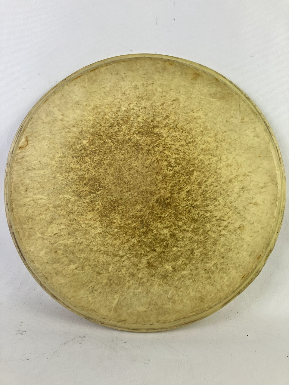Leedy/Ludwig 13" Calf Skin Rack Tom Drum Head Batter Vintage 40s-50s USA 1 Tear — main photograph