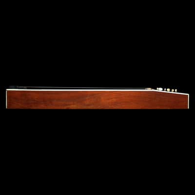 (Video) Double-Neck, non-Pedal Lap Steel w/Stand & OHSC image 5