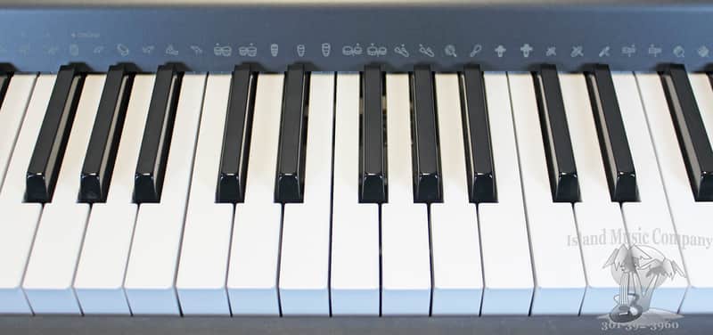 Casio WK-110 76 Key Portable Keyboard | Reverb