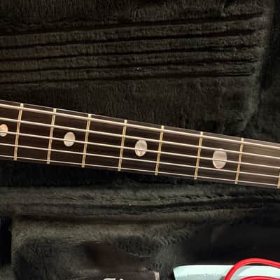 Alembic Series I 5-String Custom Order Cocobolo 2004 image 10