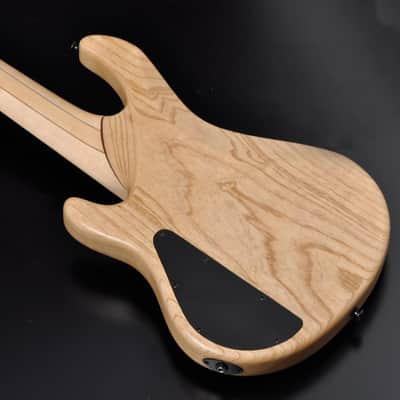 STR Bass #361 DLS549 (Authorized Dealer) Handmade in Japan Buckeye Nordstrand image 11