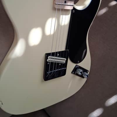 Custom Snakehead Telecaster 2024 image 13
