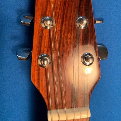 Washburn D-15 image 9