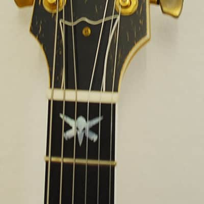 ESP Will Adler Warbird Custom Shop Distressed Black image 5