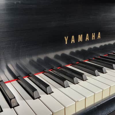 Yamaha C3 Ebony 6'1" Grand Piano and Bench * Made in Japan in 1977* Free 1st floor NJ delivery! image 9