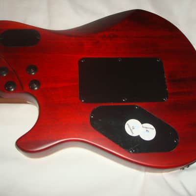 EVH Wolfgang Standard Exotic - Bocote image 9